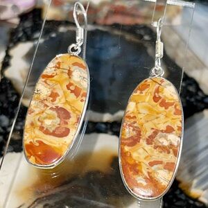 Birds Eye Rhyolite Jasper Earrings 2”